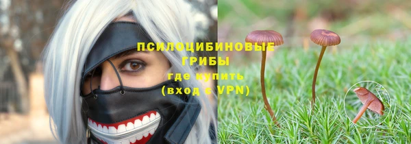 МДМА Заводоуковск