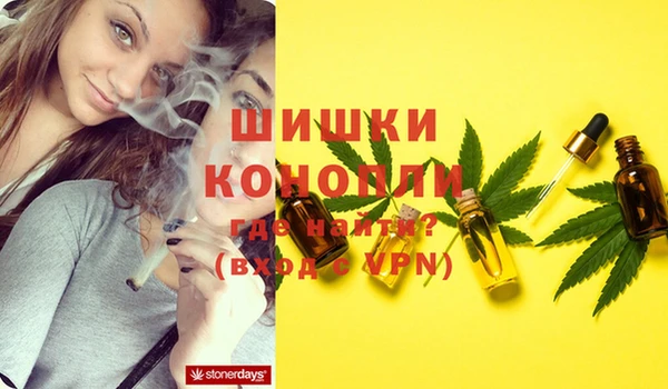 стаф Заволжск