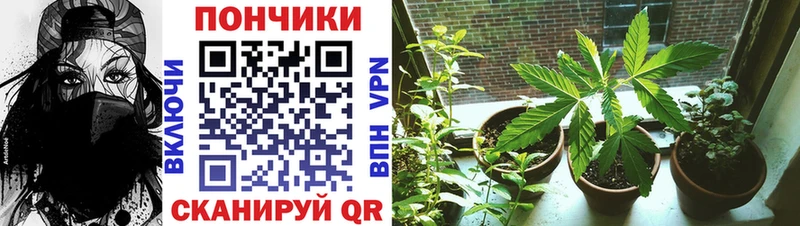 Купить где  Фурманов  МАРИХУАНА планчик 